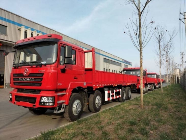 Τανκ καυσίμου 400L φορτηγό φορτηγό SHACMAN F3000 8x4 φορτηγό 375HP Neon Red