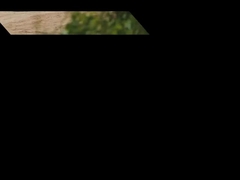 SHACMAN X3000 φορτηγό 8x4 380hp EuroII λευκό